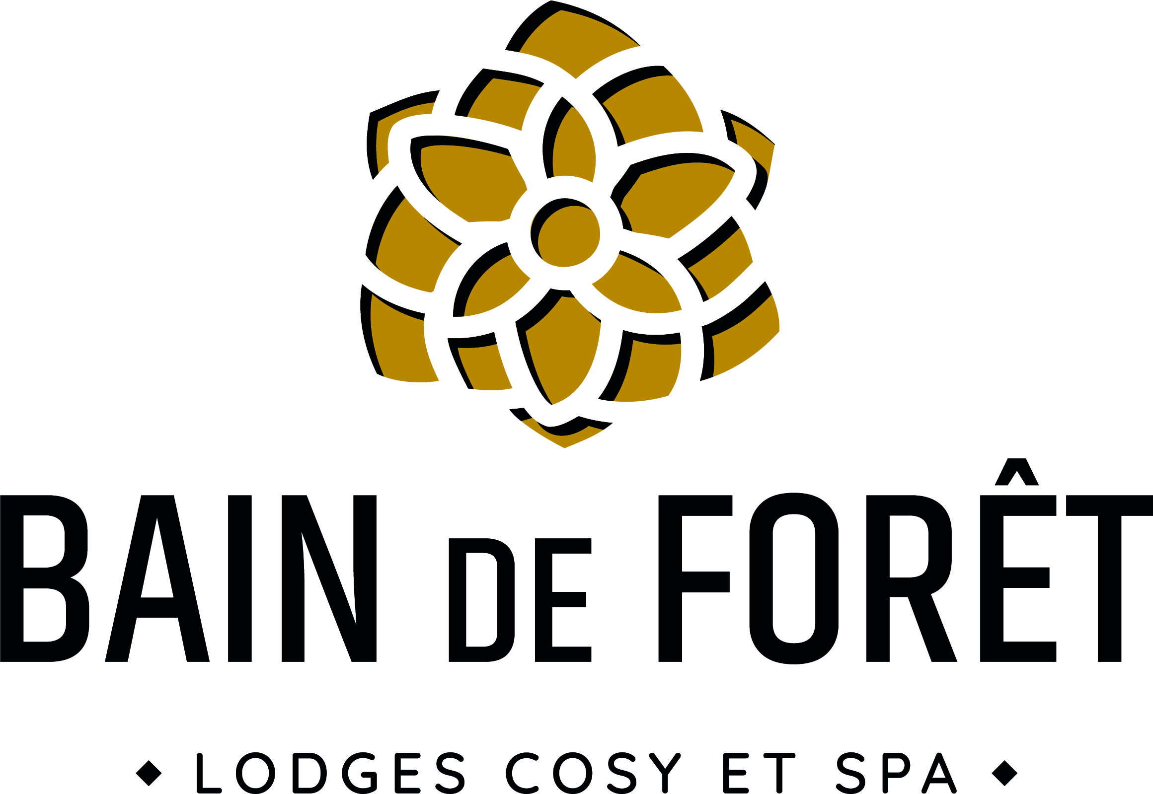 logo-bain-de-foret-CMJN-couleur